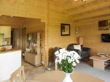 A living room and kitchen area with wooden walls a table with flowers a gray armchair and a wall-mounted television at Pennylands Willow Lodge Broadway