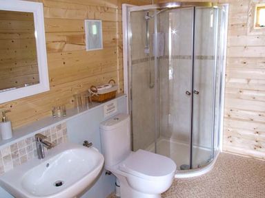 A bathroom with a sink mirror toilet and glass shower enclosure at Pennylands Willow Lodge in Broadway