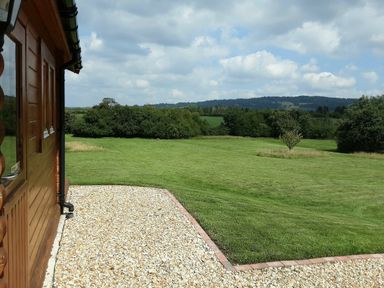 A grassy field with a small tree and bushes near a wooden building with a gravel path at Pennylands Willow Lodge Broadway