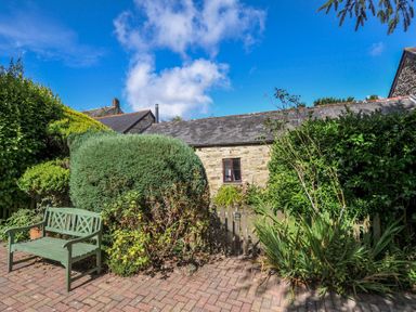 A garden with a bench and plants at Wagtail Cottage East Taphouse
