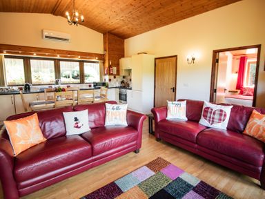 A living room with a sofa and kitchen area at Sycamore Lodge Nantmel near Rhayader