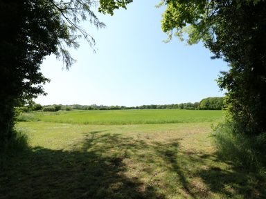 A grassy field with trees surrounding it under a clear sky at Hadleigh Farm Cottage in Gayton