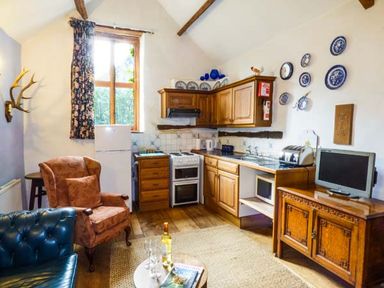 A kitchen and sitting area with wooden cabinets blue and white plates on the wall and a small television at The Mill in Bicknoller