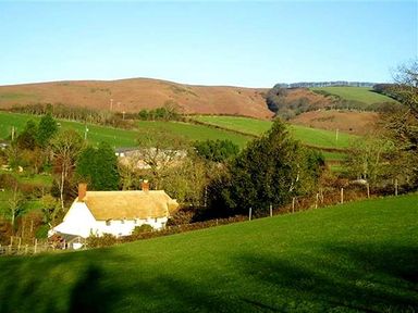 A countryside scene with a thatched cottage and green fields at The Mill in Bicknoller
