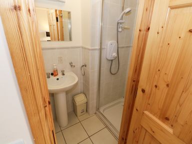 A bathroom with a pedestal sink soap dispenser a mirror a shower with a handheld showerhead and a wooden door at Lough Mask Road Fishing Lodge in Ballinrobe County Mayo