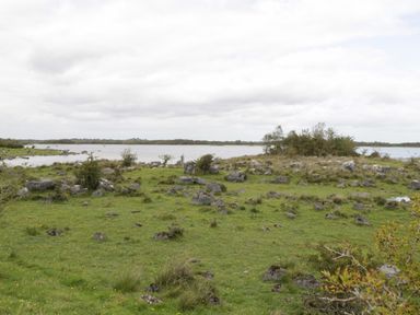 A grassy landscape with scattered rocks and shrubs near a body of water at Lough Mask Road Fishing Lodge in Ballinrobe County Mayo