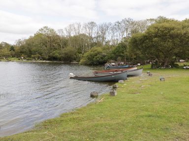 A lakeside view with several rowing boats tied up near the shore at Lough Mask Road Fishing Lodge in Ballinrobe County Mayo