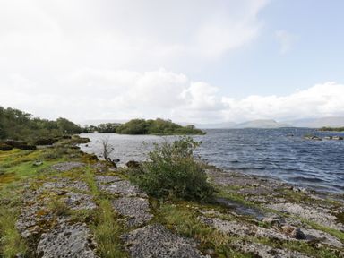 A rocky lakeshore with bushes and trees under a partly cloudy sky at Lough Mask Road Fishing Lodge in Ballinrobe County Mayo