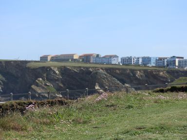 A coastal cliff with grass and flowers in the foreground and buildings on the cliff edge at Spindrift in Porth near Newquay