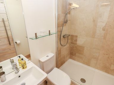A bathroom with a shower area with tiled walls a toilet and a sink with soap dispensers at Berlin House in Tenby