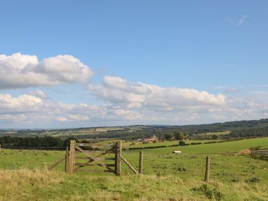 A countryside landscape with a wooden gate and green fields under a blue sky at The Barn Cottage in Steel near Hexham