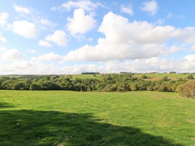 A green grassy field with trees and hills under a blue sky with clouds at The Barn Cottage Steel near Hexham