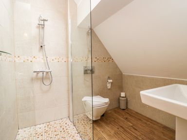 A bathroom with a walk-in shower a toilet and a sink at Bluebell Cottage in Aldingham