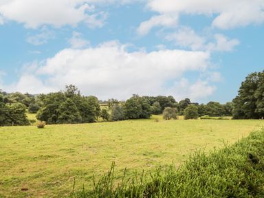 A grassy field with scattered trees and shrubs under a cloudy sky at Holly Farm Cottage in Howey