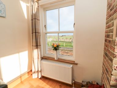 A window with beige checked curtains a vase with flowers on the windowsill and a white radiator below at Grey Croft in Embleton