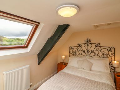 A bedroom with a double bed and bedside tables under a skylight window at Fig Trees - Wibble Farm in Williton near Watchet