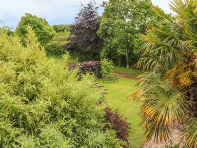 A garden with green grass shrubs trees and a bench at Fig Trees - Wibble Farm in Williton near Watchet