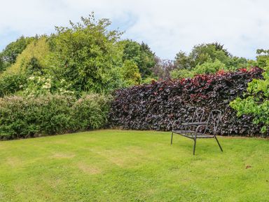 A garden with green grass a metal bench and various green and red bushes at Fig Trees - Wibble Farm in Williton near Watchet