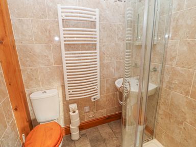 A bathroom with a toilet with wooden seat a radiator small sink and a glass shower enclosure at Swallow Cottage in Milton near Brampton