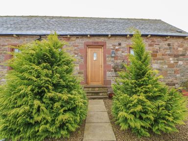 The front entrance of a stone cottage with a wooden door and two large green shrubs on either side of a stone path at Swallow Cottage in Milton near Brampton