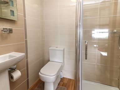 A bathroom with a toilet sink and shower enclosure at Aberdauddwr in Lampeter