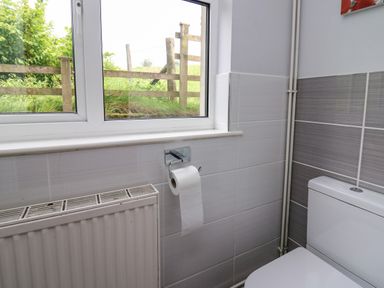 A bathroom with a toilet paper holder, a radiator, and a window showing an outdoor fence at Aberdauddwr in Lampeter