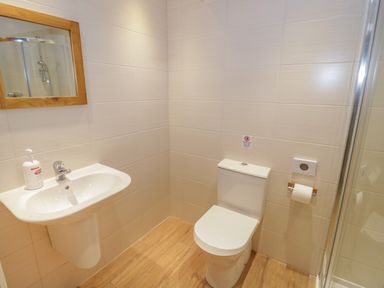 A bathroom with a sink a mirror a toilet a toilet paper holder and a shower at Bryn Y Don Cottage in Benllech