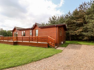 A wooden lodge with a fenced porch next to a gravel driveway and surrounded by grass and trees at Callow Lodge 5 in Beaconsfield Holiday Park