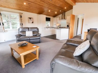 A living room with two leather sofas and a wooden coffee table with a bowl and remotes in Callow Lodge 5 at Beaconsfield Holiday Park