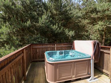 A wooden deck with a hot tub and trees in the background at Callow Lodge 5 Beaconsfield Holiday Park