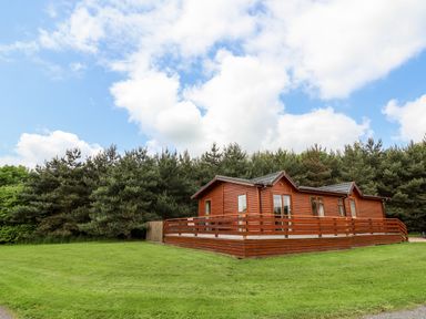 A wooden lodge with a fenced deck on a grassy area next to pine trees at Callow Lodge 5 in Beaconsfield Holiday Park