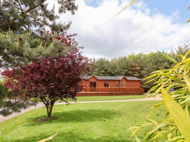 A wooden lodge surrounded by green grass and trees at Callow Lodge 5 in Beaconsfield Holiday Park