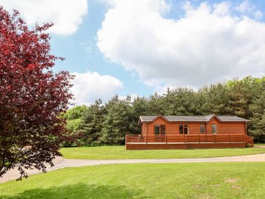 A wooden lodge with a deck surrounded by grass and trees at Callow Lodge 5 Beaconsfield Holiday Park