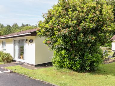A small single-story building with a sliding glass door and a large leafy bush in front of it at Peacehaven in Rosecraddoc Lodge near Liskeard