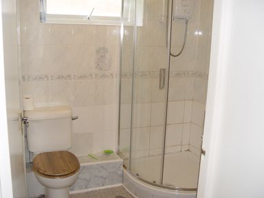 A bathroom with a toilet and a corner shower enclosure at Peacehaven Rosecraddoc Lodge near Liskeard