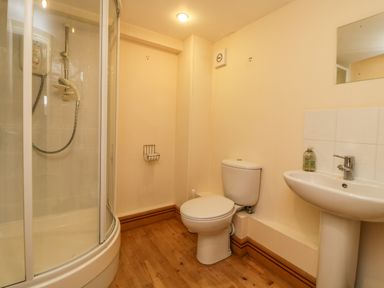 A bathroom with a shower enclosure a toilet a pedestal sink and a mirror at Meader Barn in Peter Tavy near Tavistock