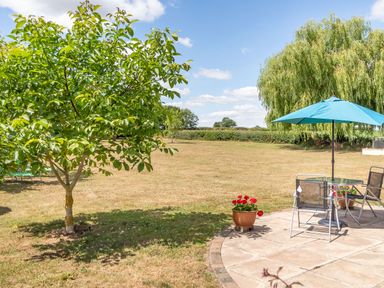 A garden with a small tree near a patio that has a table with an umbrella and chairs at Norbank Garden Studio in Bressingham