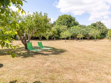 An outdoor garden area with two green lounge chairs under a tree and several other trees in the background at Norbank Garden Studio in Bressingham