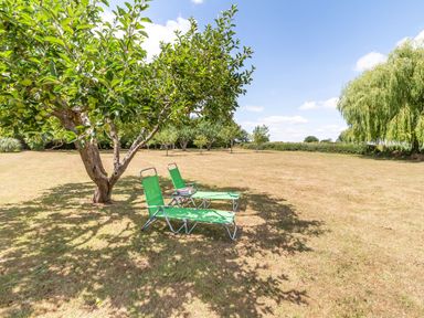 An outdoor grassy area with apple trees and two green sun loungers under a tree at Norbank Garden Studio in Bressingham