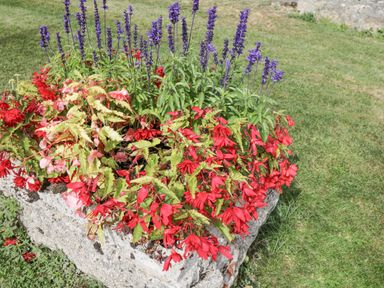 A stone planter with red and purple flowering plants on grass at Roan Cottage in Royal Wootton Bassett