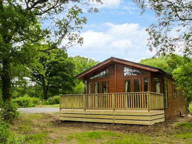 A wooden cabin with a deck surrounded by trees at Chaffinch Lodge in Highampton near Sheepwash