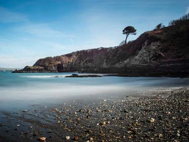A rocky beach with a hillside and a single tree near the shore at Rose Cottage in St Dogmaels near Cardigan