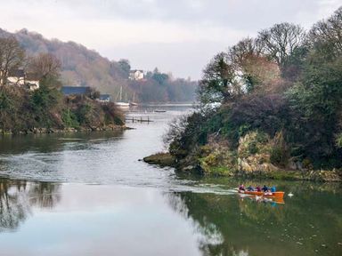 A river with people rowing a boat surrounded by trees and houses at Rose Cottage in St Dogmaels near Cardigan