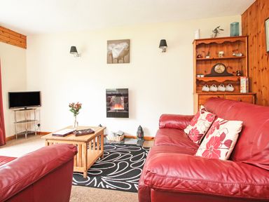 A living room with red leather sofas a wooden coffee table a black patterned rug and a wall-mounted electric fireplace at 4 Manorcombe Honicombe Manor near Gunnislake