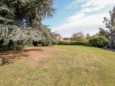 A large lawn with trees and shrubs around and buildings in the background at Flint Cottage in Swaffham