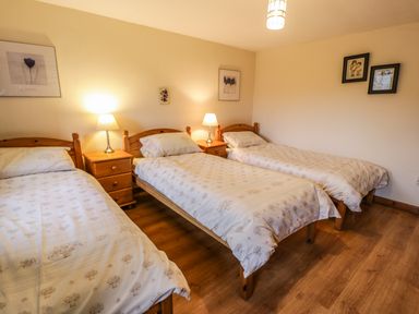 A bedroom with three single beds two lamps on bedside tables and framed pictures on walls at Bwthyn Fed'wr Gog in Maerdy near Bala