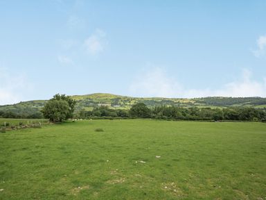A green field with trees and hills in the background at Bwthyn Fed'wr Gog in Maerdy near Bala