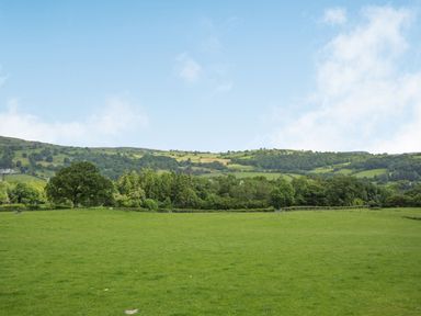 A green grassy field with scattered trees and hedges with hills and trees in the background at Bwthyn Fed'wr Gog Maerdy near Bala
