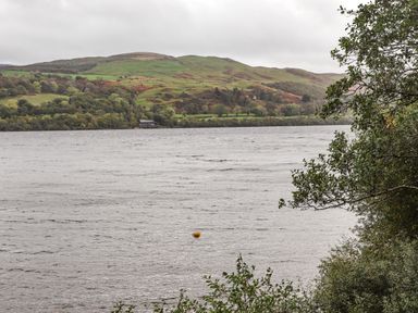 A view of a lake with hills and trees in the background and bushes in the foreground at Bwthyn Fed'r Gog in Maerdy near Bala