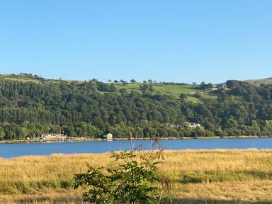 A lake with grass in the foreground and wooded hills with scattered buildings at Bwthyn Fedwr Gog Maerdy near Bala